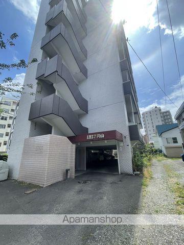 第7AMS円山(1LDK/4階)