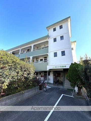 オリーブ羽倉崎