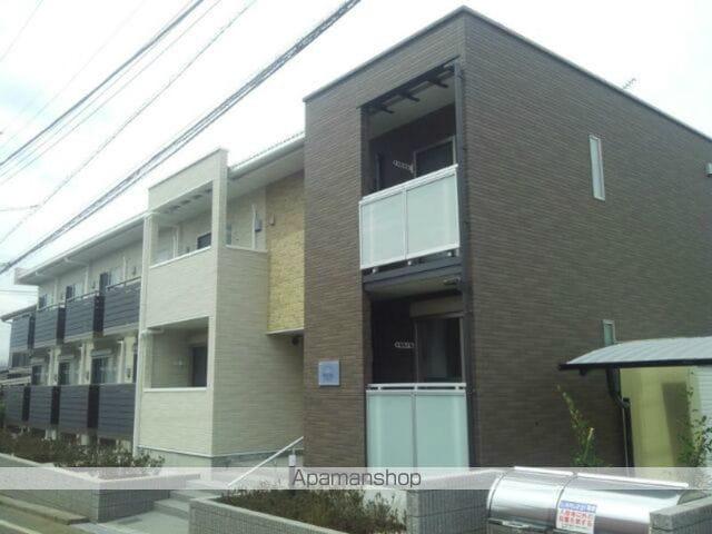 レオネクストサフラン