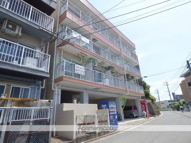 パシフィック紫Ⅲ