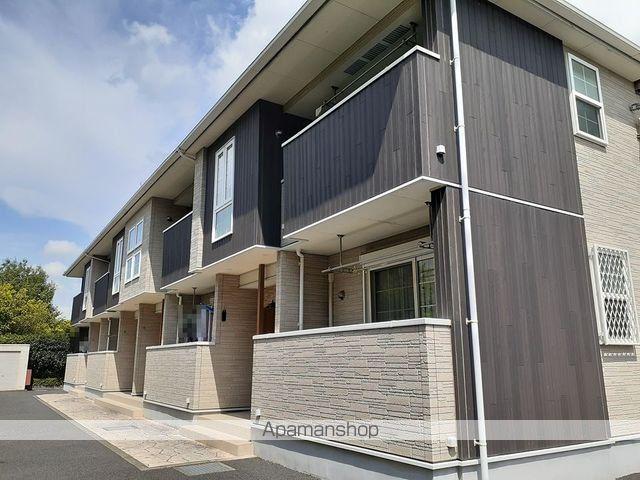 サニー・グレイス