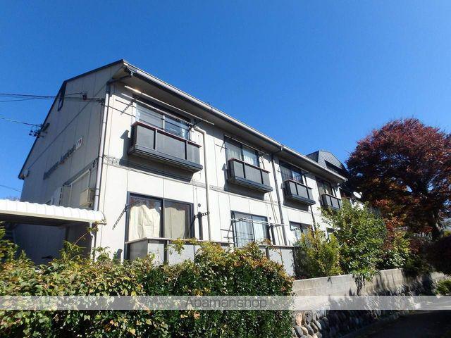 フレグランス・アプリコット