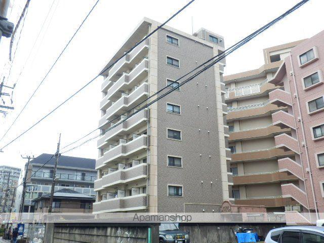ピュアオータム