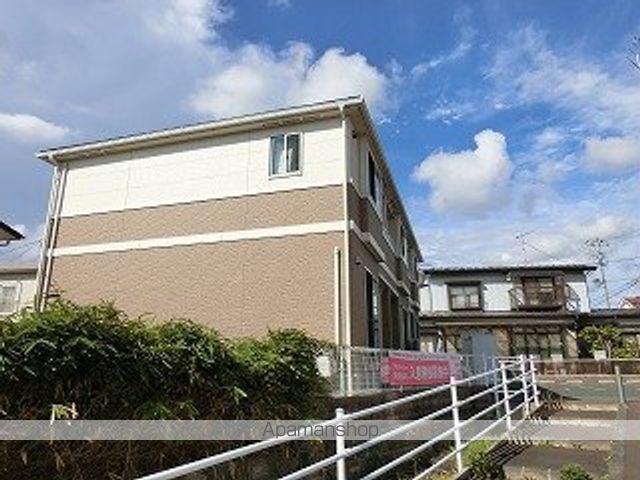 フラットコスモス