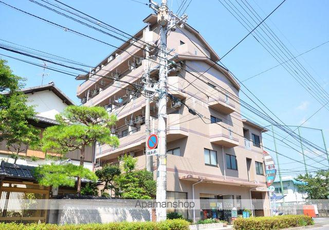 アドヴァンス610