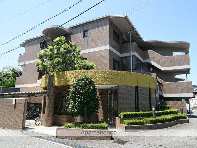 ジェンティールトータス