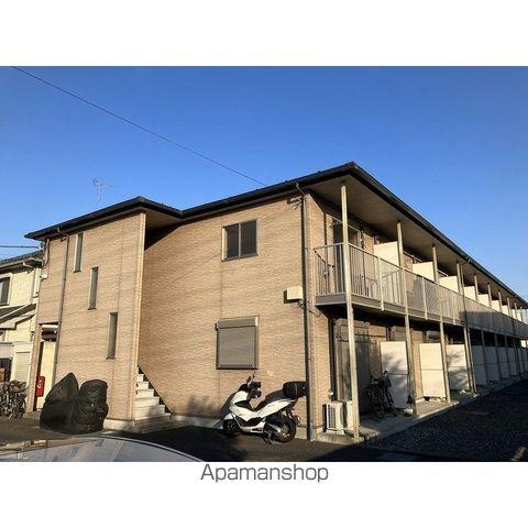 アムール花水木