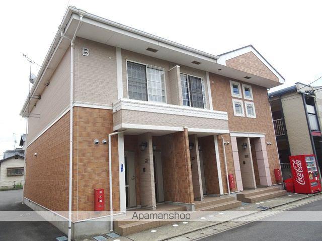 シャン・キャロットB