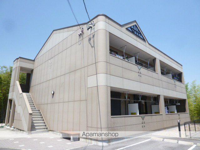 アーバン ルピナス