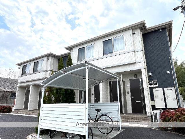 コモド ピノ Ⅳ