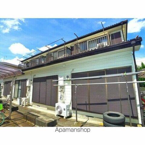 シンセリティナカエイ