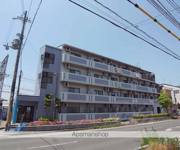 ACEIN向島