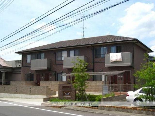 トレジャーシャイン