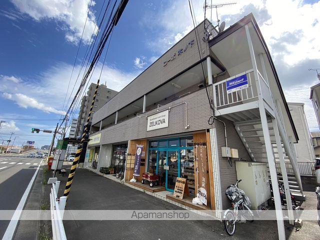 コーポ木ノ下(1K/2階)