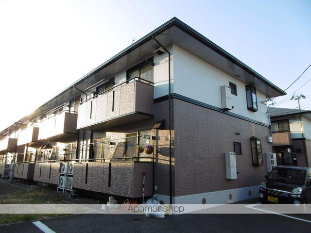 ハイカムール柧 G