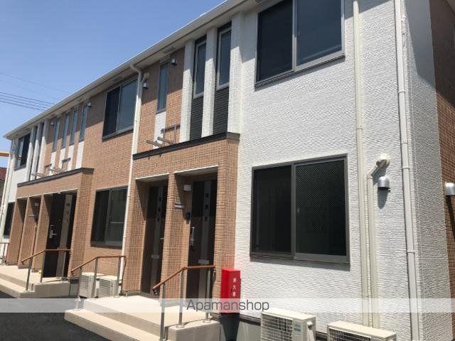 ハニービートル