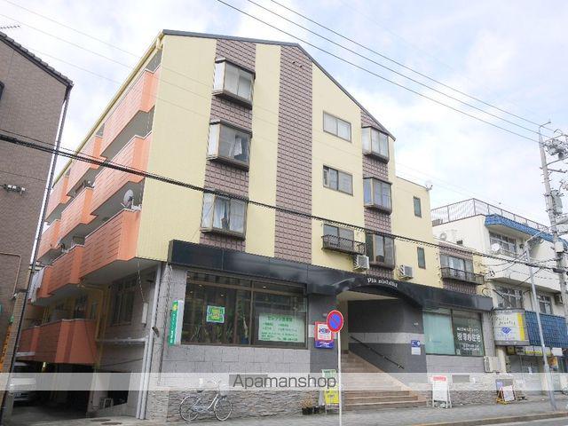 ピアニシキ徳川