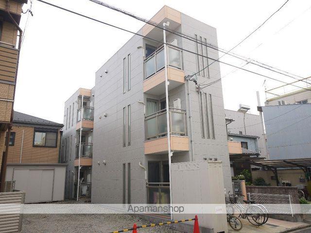 アムール青柳