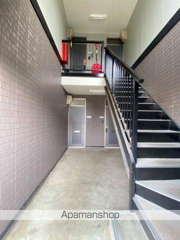 アスターアオキ