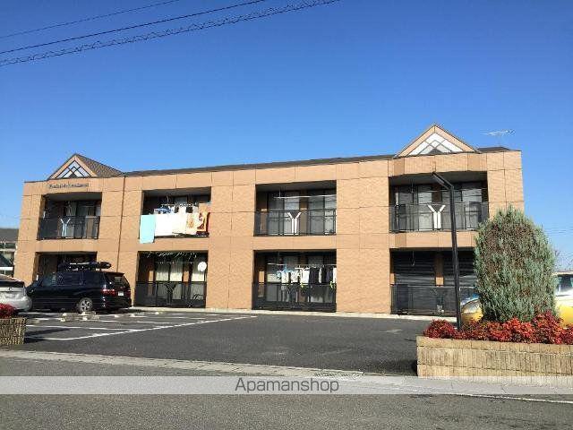 パルフェドルミナス