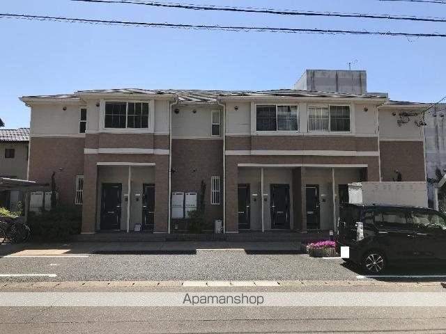 アモローソ雲竜