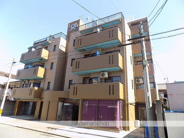 グレースホリベ5