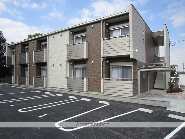 ミランダフローラ白川