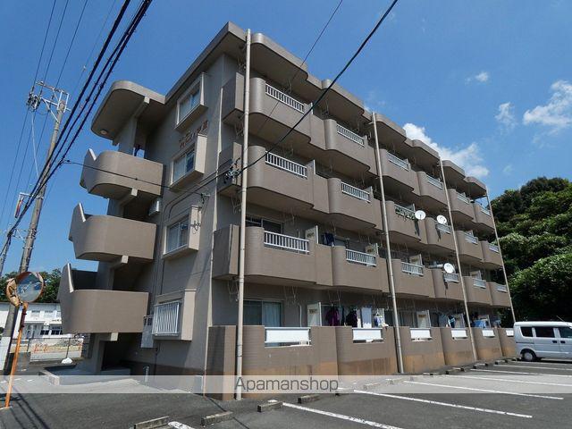 カトレアⅡ