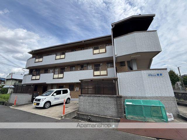 ステラ幾野