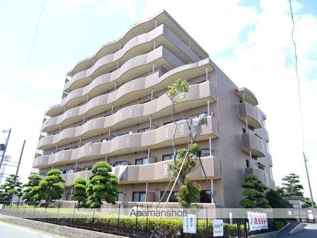 コスモス