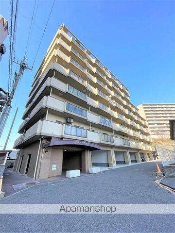 ナーシサス法橋