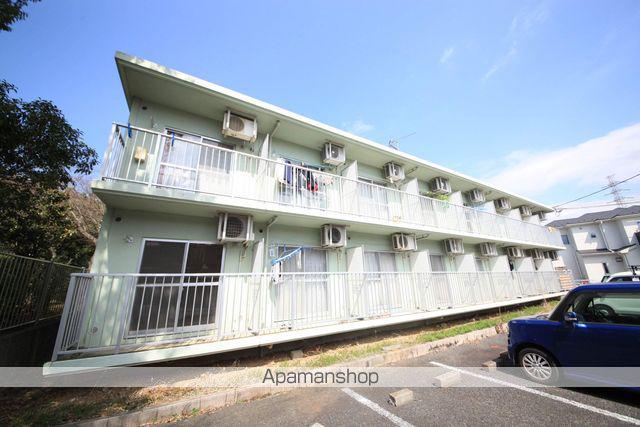 ルミニコスモス