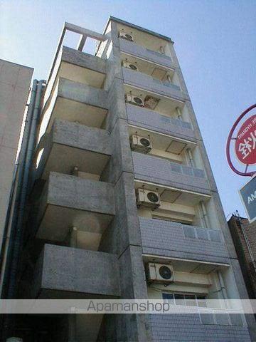 レディース徳川