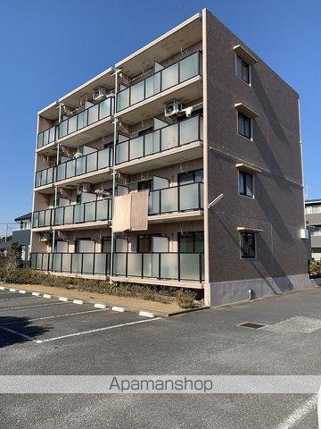 アピカールカミス