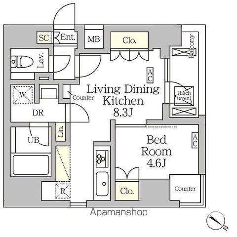 アジールコート松濤(1LDK/8階)の間取り写真