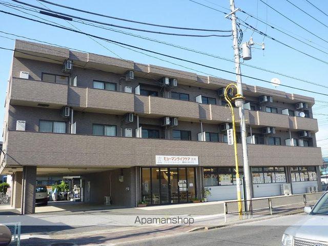 ウィステリア・ヤハギ