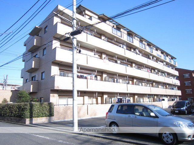 グレイスコート