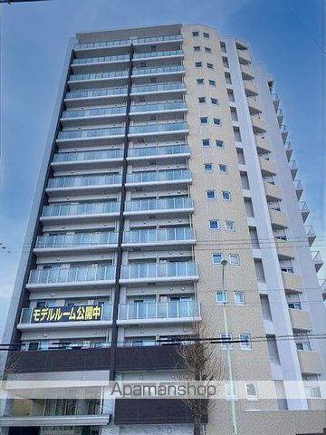 ブランズ新札幌(2LDK/11階)