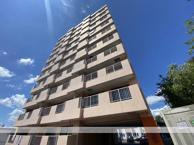 ヴェルドミール西桔梗