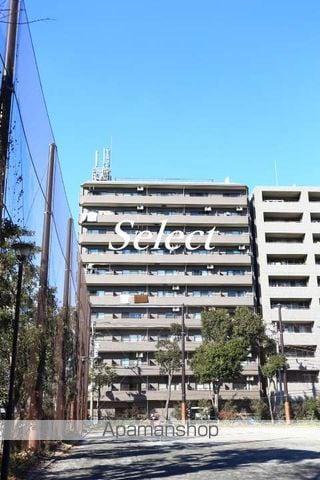 モルペウス横浜