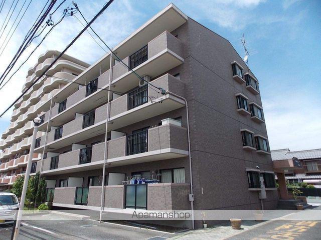 グレイシー高雄