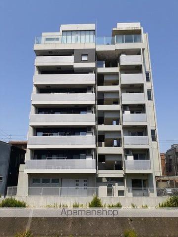 ホワイトブロッサム