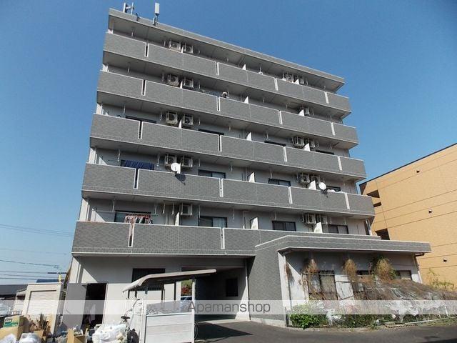 ライラック ウィンド