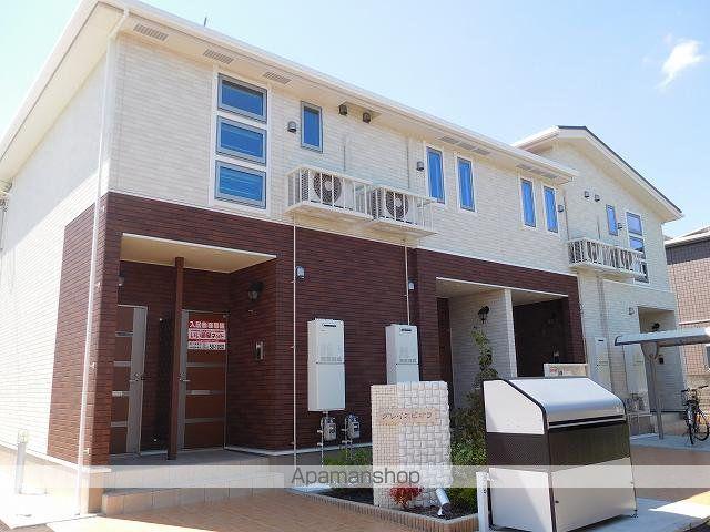 グレイスビオラ