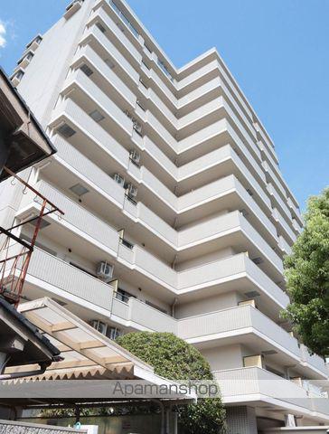 ビューテラス大新