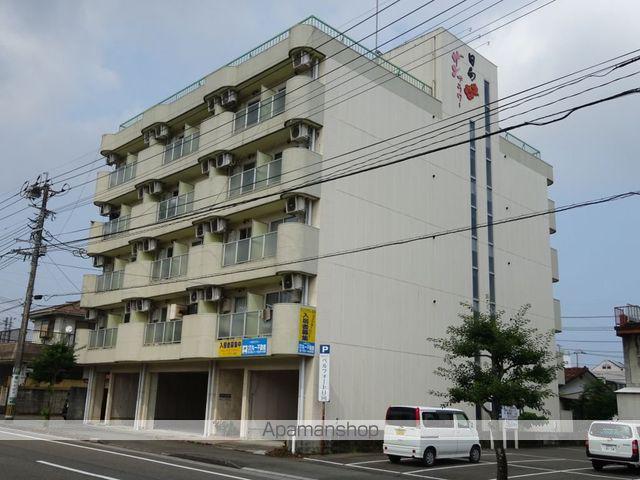 サンフラワー日向