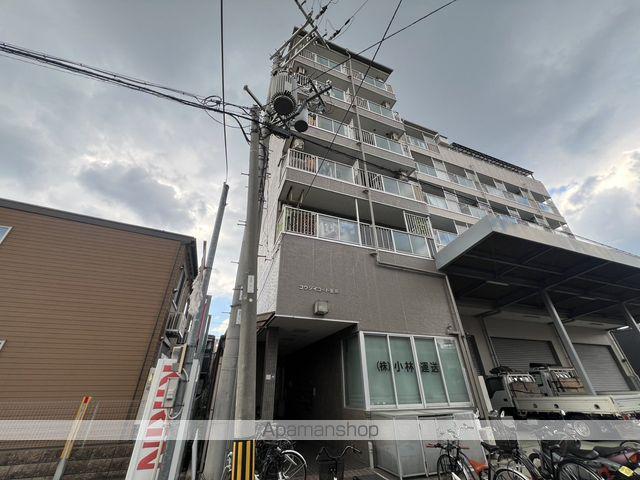 コウジィコート菅原