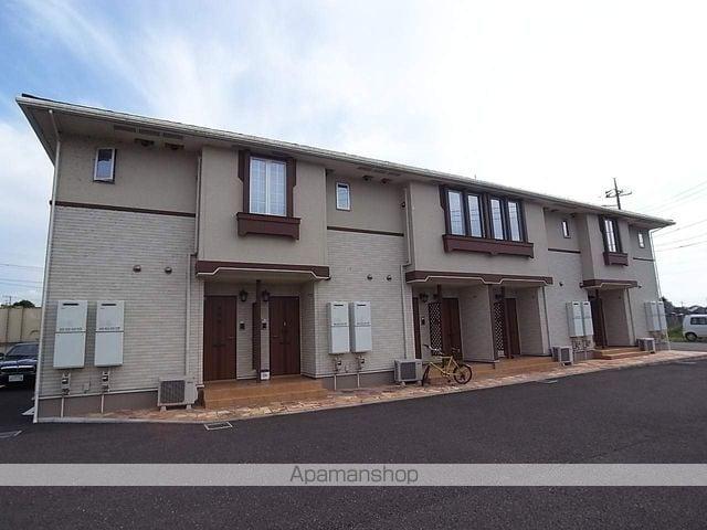 ヒラルス コルリス