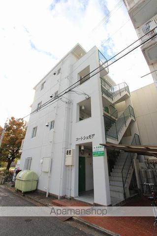 コートシェモア