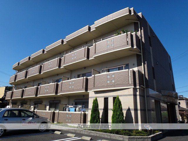 コーディアル さくら